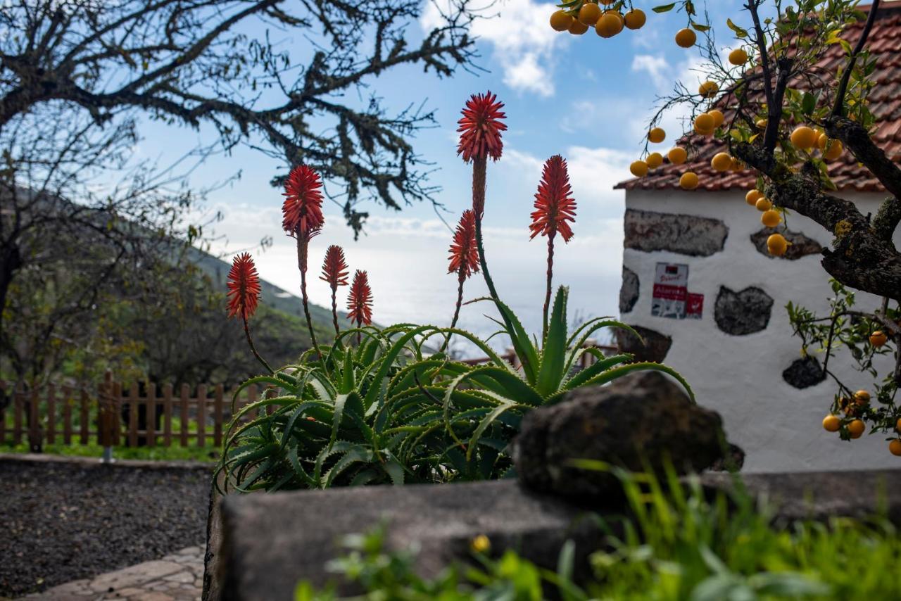 "Villa Servanda " - Relax, Nature, Wide Views Of The Sea And A Starry Sky Puntagorda Buitenkant foto