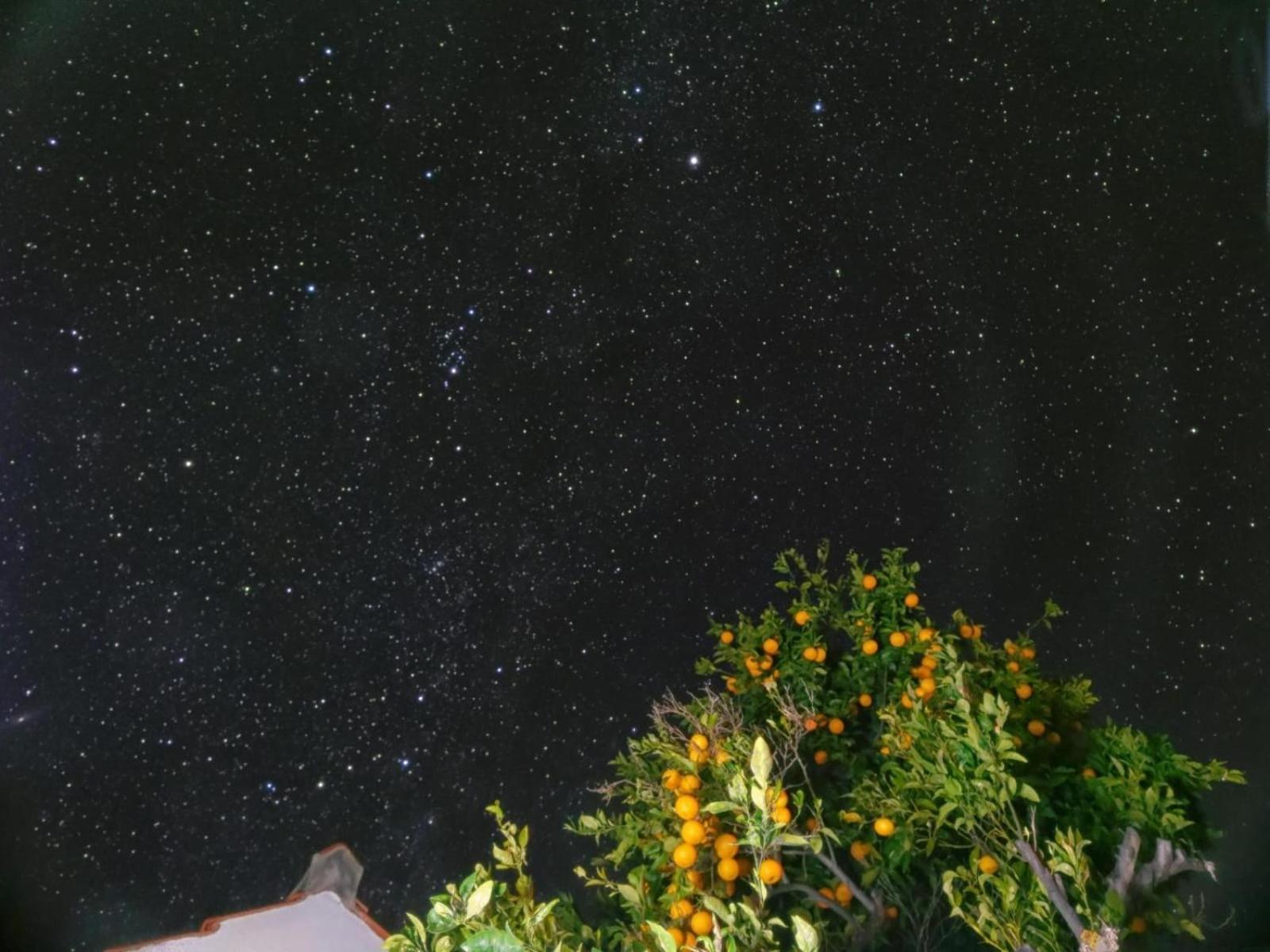 "Villa Servanda " - Relax, Nature, Wide Views Of The Sea And A Starry Sky Puntagorda Buitenkant foto